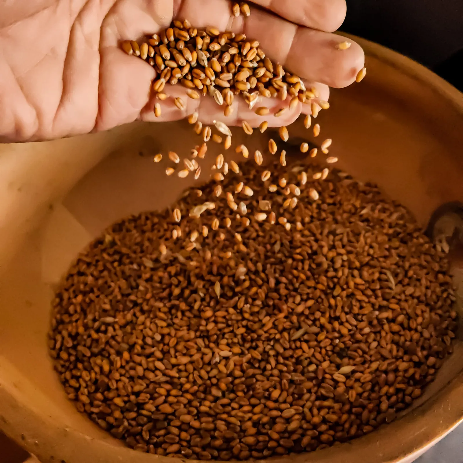 Le grain